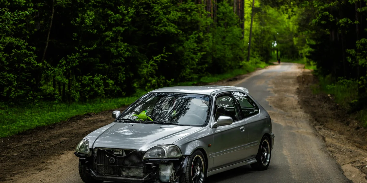 asistencia-legal-para-todos-contacte-a-los-abogados-gratuitos-en-california